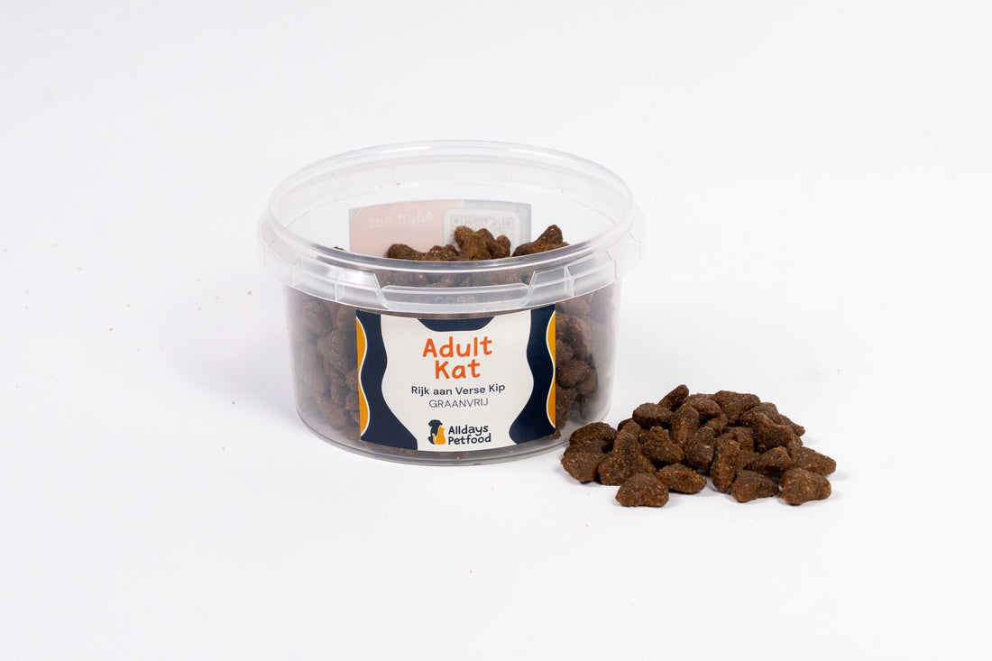 INABA Churu - Gepureerde kattensnacks x tonijnsoorten - Heerlijke snacks voor katten - Gladde en romige textuur - Kattenvoer - 60 Tubes x 14g INABA Churu - Gepureerde kattensnacks x tonijnsoorten - Heerlijke snacks voor katten - Gladde en romige textuur - Kattenvoer - 60 Tubes x 14g